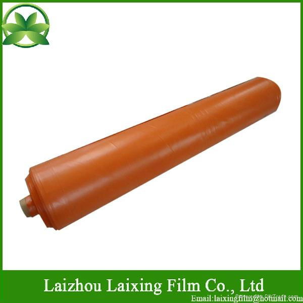 Polyethylene film For Building  5