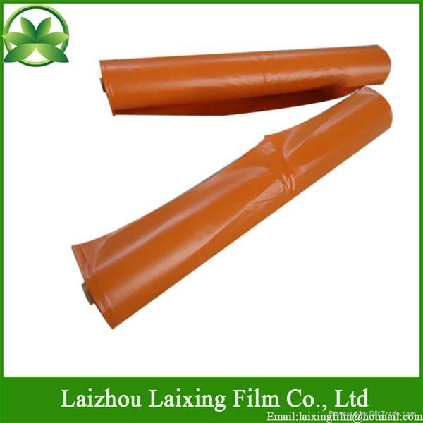 Polyethylene film For Building  3