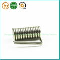 Double Torsion Spring