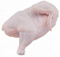 HALAL FROZEN WHOLE CHICKEN