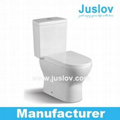 High price performance ratio Popular in European market Wash down dual flush Two