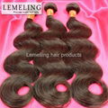 Brazilian virgin hair body wave dyeable