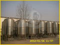 200l beer brewing equipment 1