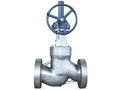 BS 1873 Globe Valve