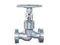  BS 1873 Globe Valve  1