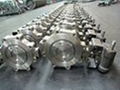 Offset Butterfly Valve