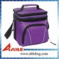 Cooler picnic bag  JBC-13