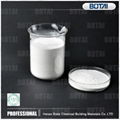 redispersible polymer powder manufacturer