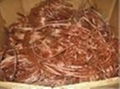 sell Bright copper wire  5