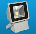 LED FLOOD LIGHT 1