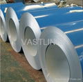 prime pre-painted galvanized steel coil