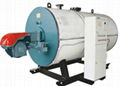 WNS Series Auto Gas or Oil Fired hot water Boiler