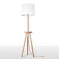 2014 Modern Orange floor lamps 1