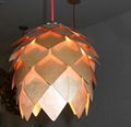 Creative Modern Pendant Lamp 2