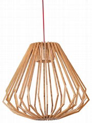 Modern Chandelier Pendant lamp-LBMP-ZSA