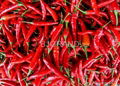 Top Quality Paprika Oleoresin 5