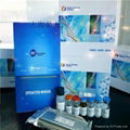 Mouse Oxidizided glutathione(GSSG)ELISA Kit 2