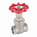 Screw End Gate Valves