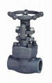 Flange End Gate Valves 1