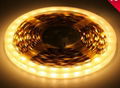 LED light SMD 5630 High Density Flexible Strip Light60 LEDs 12mm  IP43 5