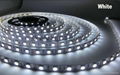 LED strip light SMD5050  Flexible Strip Light  60 LEDs 24VDC Max 14.4 1