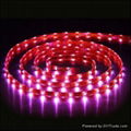 UL Certified Epistar SMD 5050RGB Flexible LED Strip 30 LEDs  12v24V 7.2W 