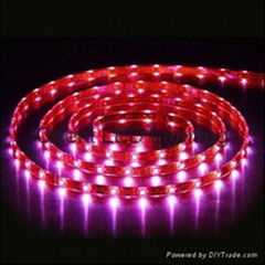 UL Certified Epistar SMD 5050RGB Flexible LED Strip 30 LEDs  12v24V 7.2W 