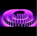 LED strip light SMD5050 Double line Flexible Strip Light120 LEDs UL Approved  3