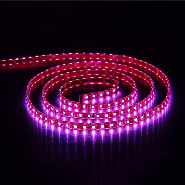 led strip SMD 5060 high Density Flexible Strip60 LEDs