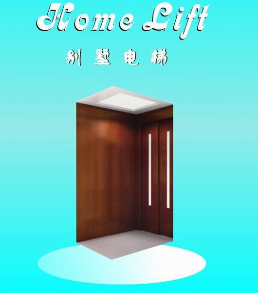 Stainless Steel Mirror Etching Home Elevator 3