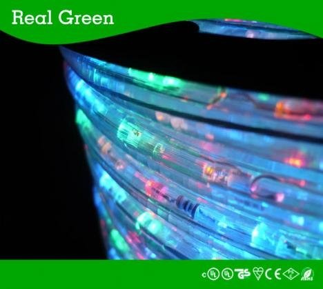 2-Wire Classic Multi RYGB LED Rope Light