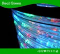 2-Wire Classic Multi RYGB LED Rope Light 1