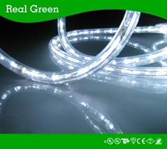 2-Wire Standard Cool White LED Rope Light