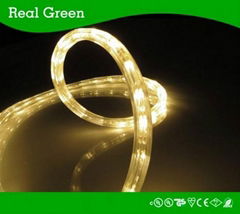 2-Wire 120V Flat Soft White LED Rope Light