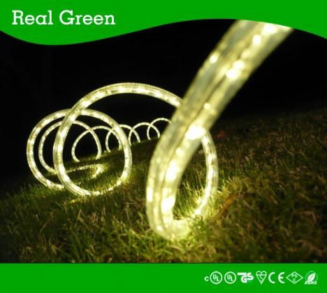 2-Wire Classic Warm White LED Rope Light
