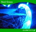 2-Wire Classic Blue LED Rope Light 4