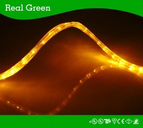 2-Wire Flat Amber LED Rope Light 4