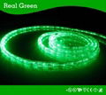 2-Wire Classic Emerald Green LED Rope