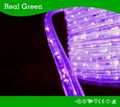 2-Wire Standard Purple LED Rope Light