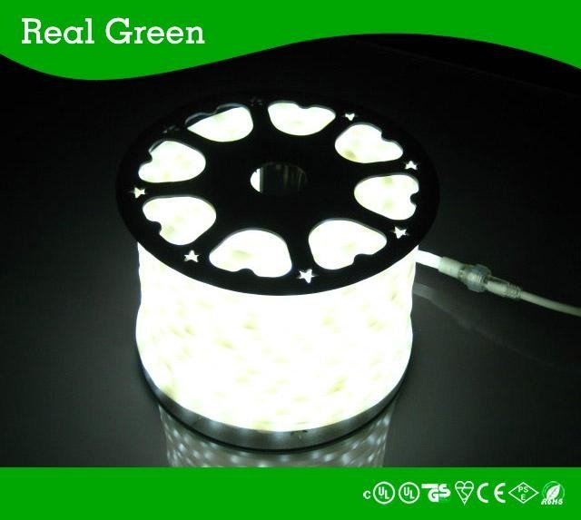 2-Wire Standard Pear White LED Rope Light