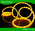 Neon Effect Golden Warm LED Rope Lihgt 1