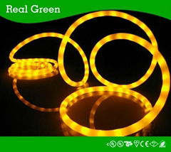 Neon Effect Golden Warm LED Rope Lihgt