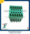 double 3.81 terminal block 1