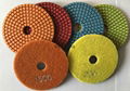  polishing pad 3