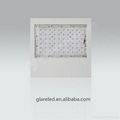 LED Canopy Light 5