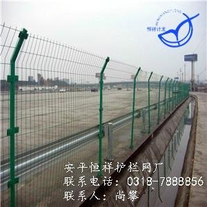 安平生产双边丝护栏网 4