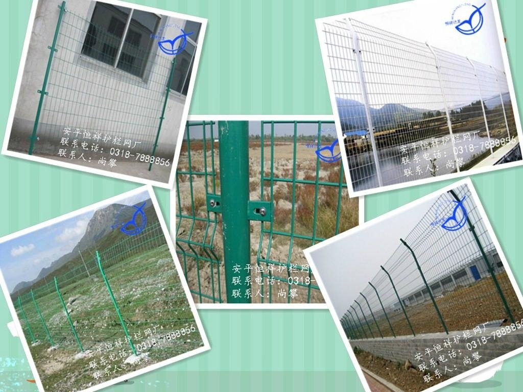 安平生产双边丝护栏网 5