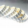 120pc/M 5050 SMD LED Strip Light 1