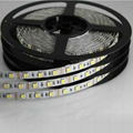 60pc/M 5050 SMD LED Strip Light 2