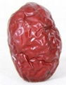 Chinese red date